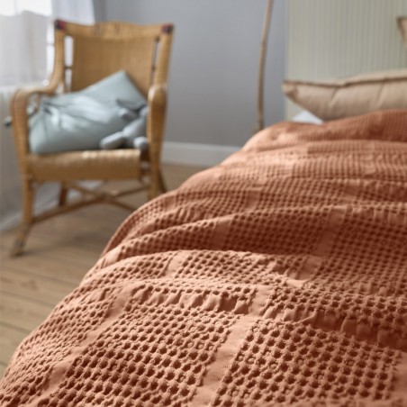 Plaid Yogi par Essix